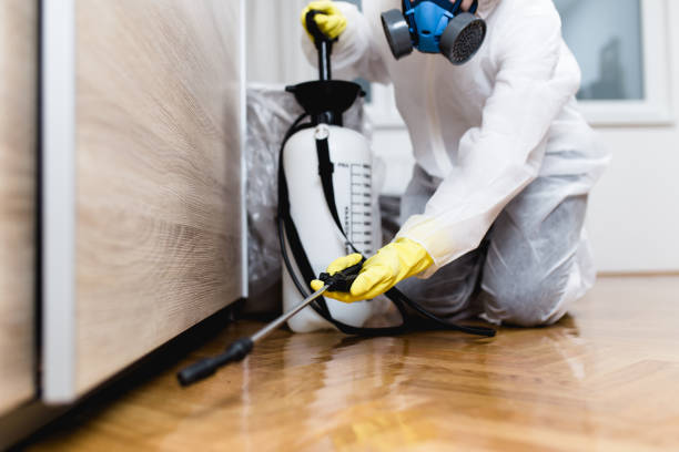 Pest Control for Restaurants in Seagraves, TX