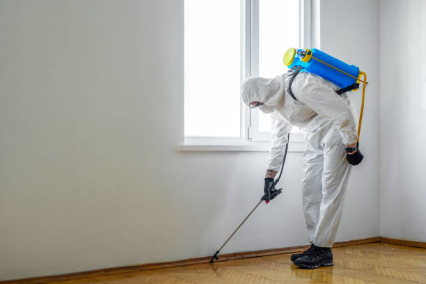 Best Flea Control Services  in Seagraves, TX