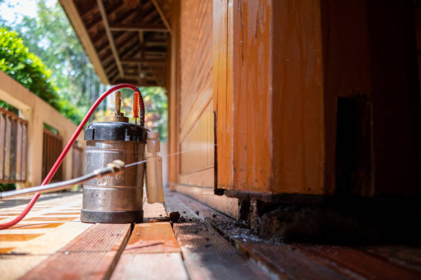 Best Termite Control Services  in Seagraves, TX
