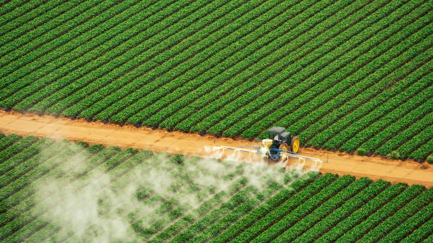 Best Wasp Removal Services  in Seagraves, TX