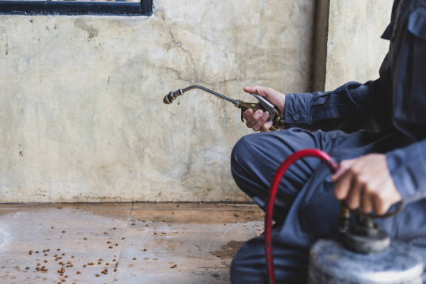 Best Pest Prevention Services  in Seagraves, TX
